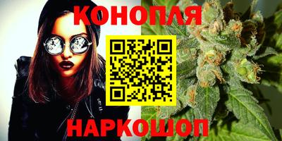 jwh Будённовск